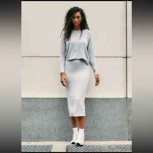 Aritzia Wilfred Free Pisces Skirt